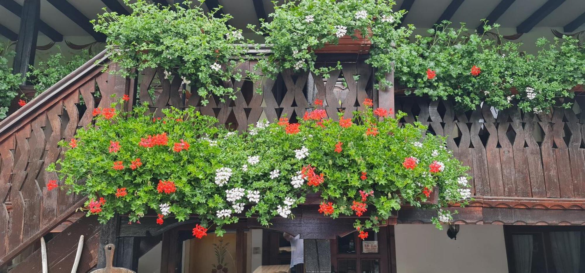 Стаи За Гости The Old House Velingrad Eksteriør bilde